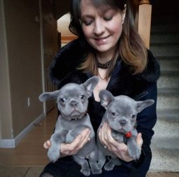 Sophia Lewis's puppy